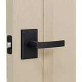 L6R2  Lever (L6 Lever with Rectangle R2 Rosette)