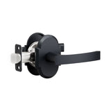 L6R3 Lever (L6 Lever with curved R3 Rosette)